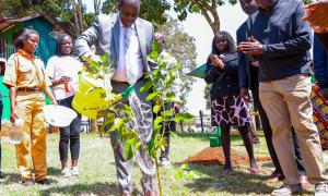 PS Wagunda leads in tree planting exercise